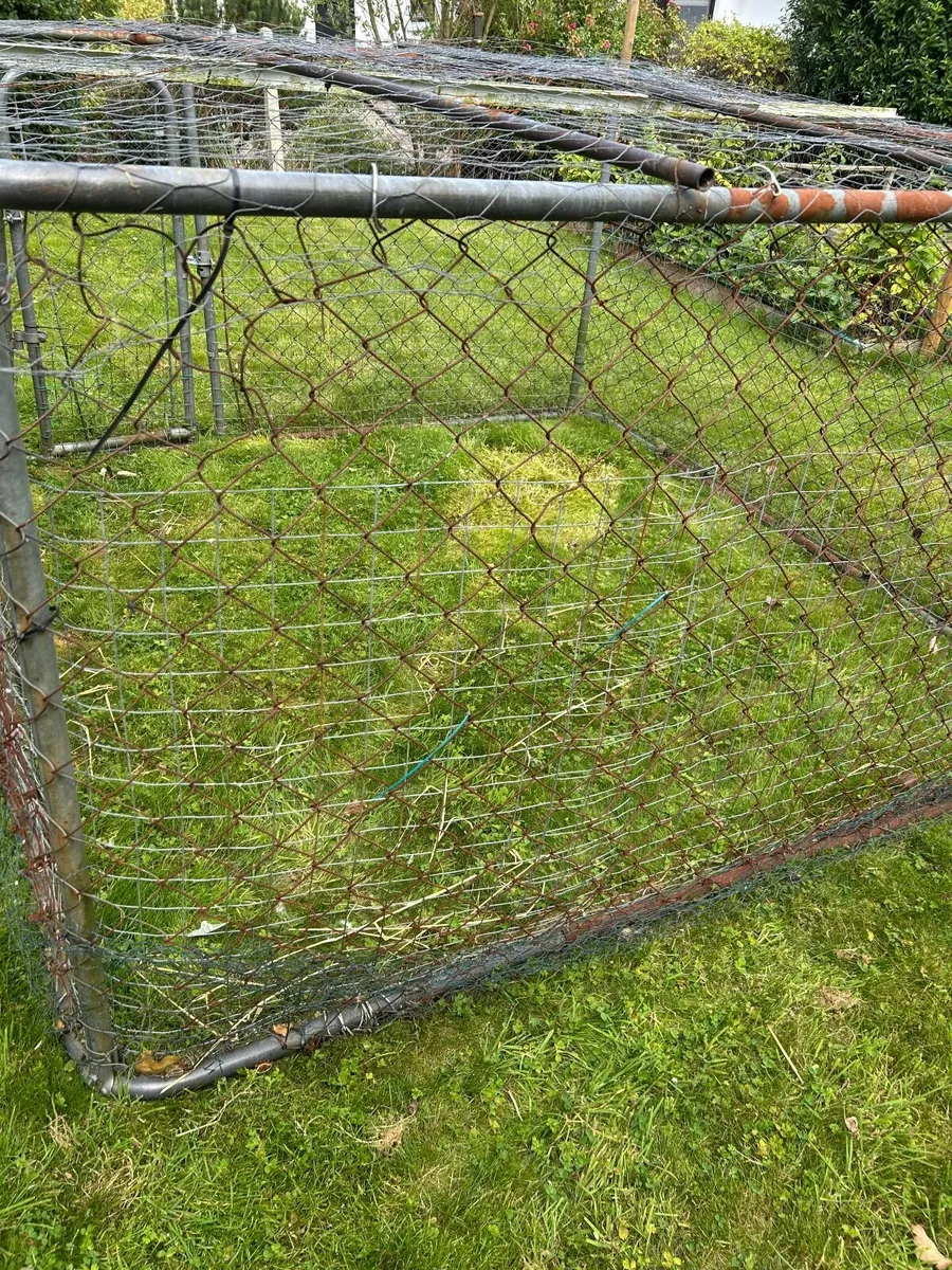 Dog run also suitable for rabbits or other animals - Image 3