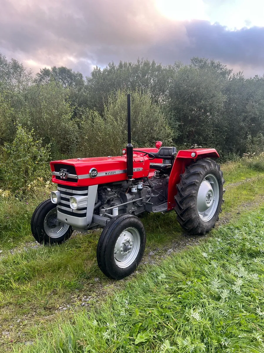 Massey Ferguson 135 - Image 1