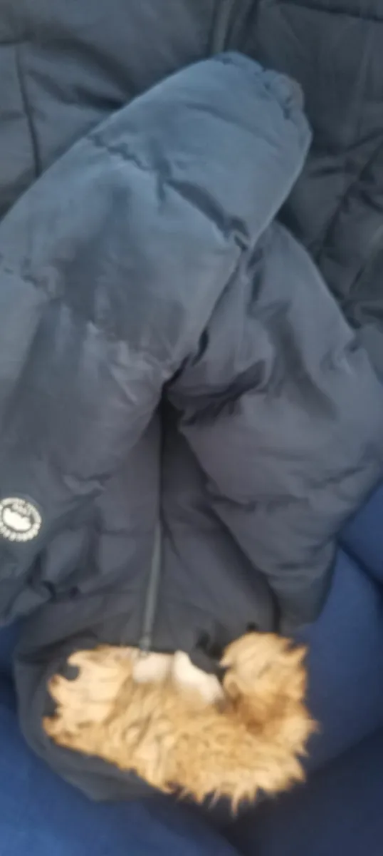 Clothes - Image 1