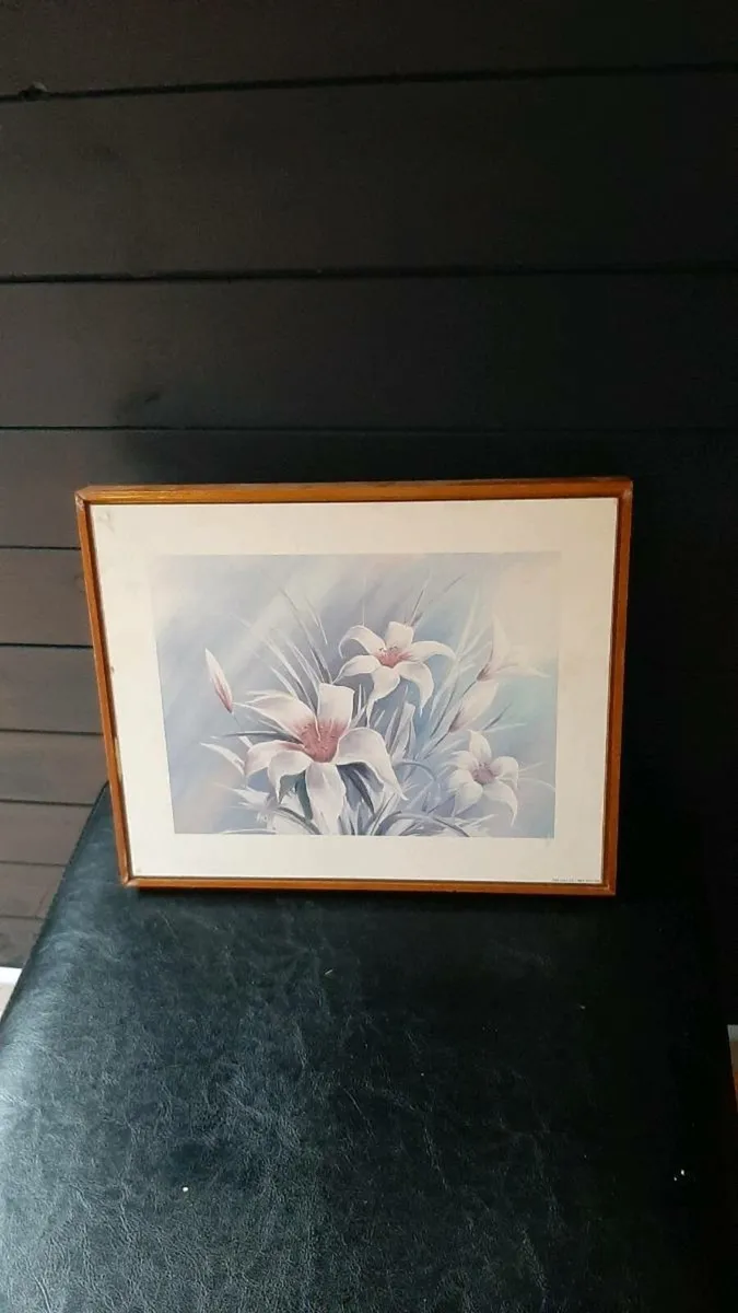 Pictures - Image 2