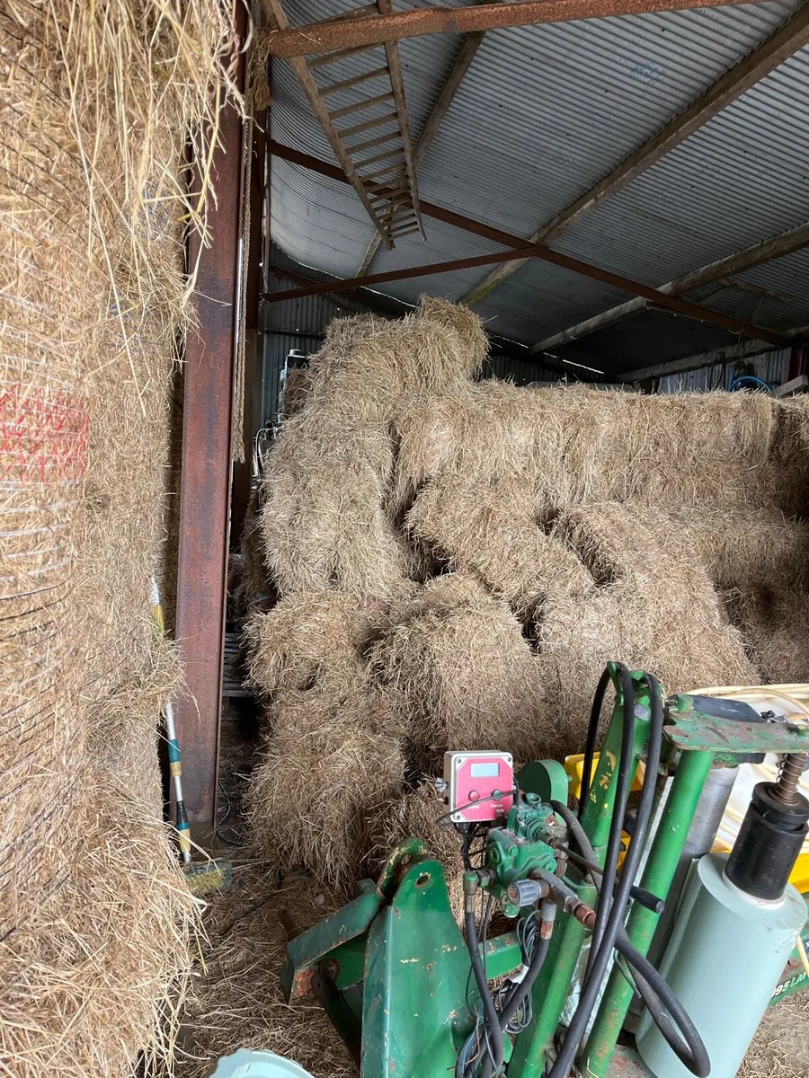 Small square bales of Barley Straw - Image 2