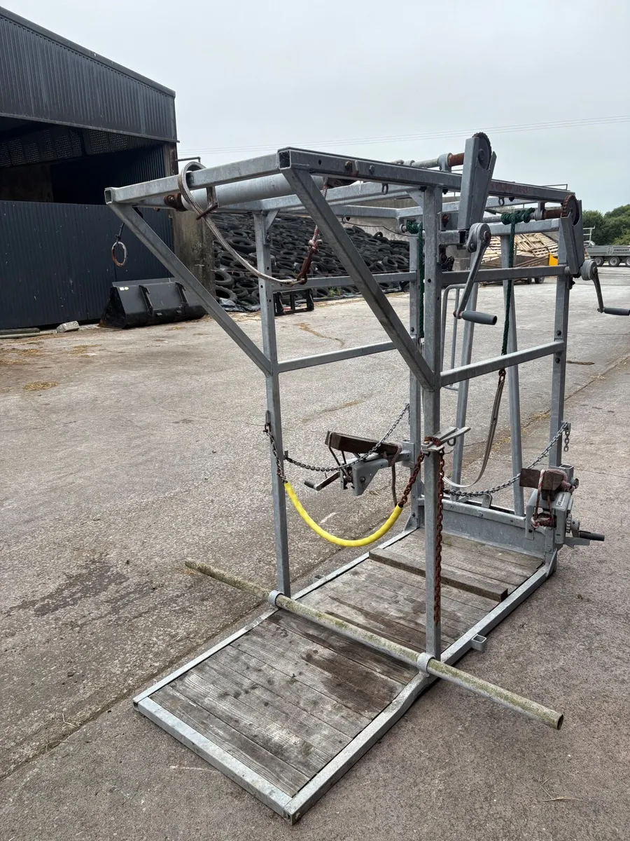 Cow hoof crate - Image 1