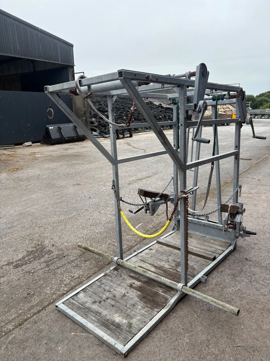 Cow hoof crate - Image 2