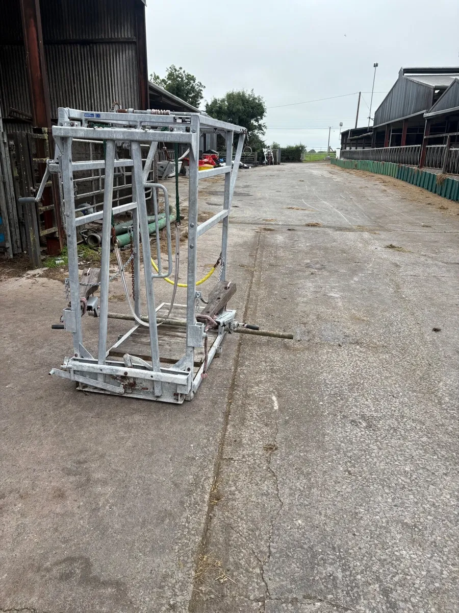 Cow hoof crate - Image 3