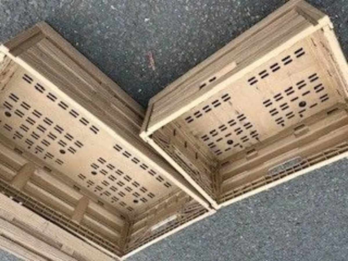 Commercial Foldable Crates - New - Image 2