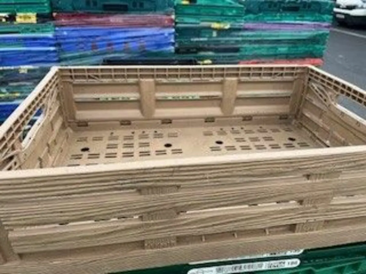 Commercial Foldable Crates - New - Image 4