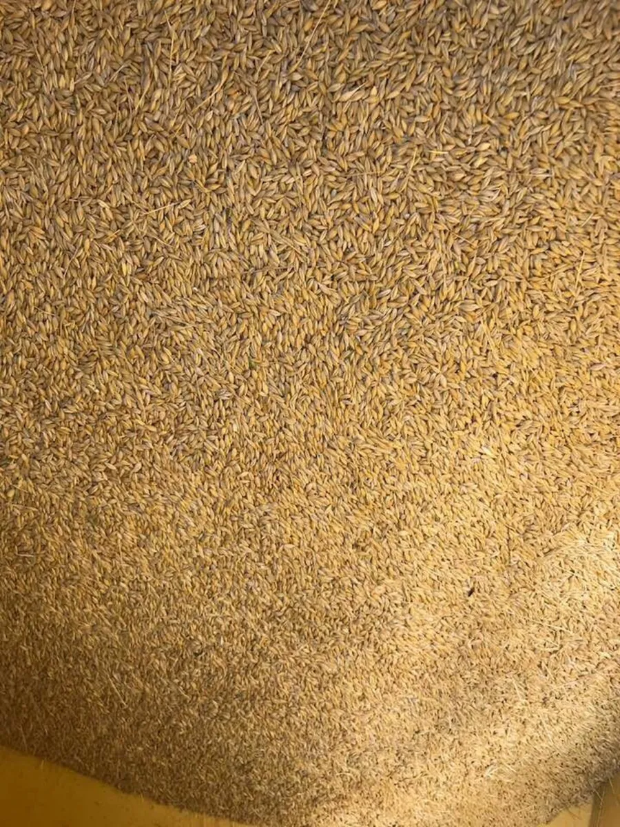 NH M133 Combine - Image 2