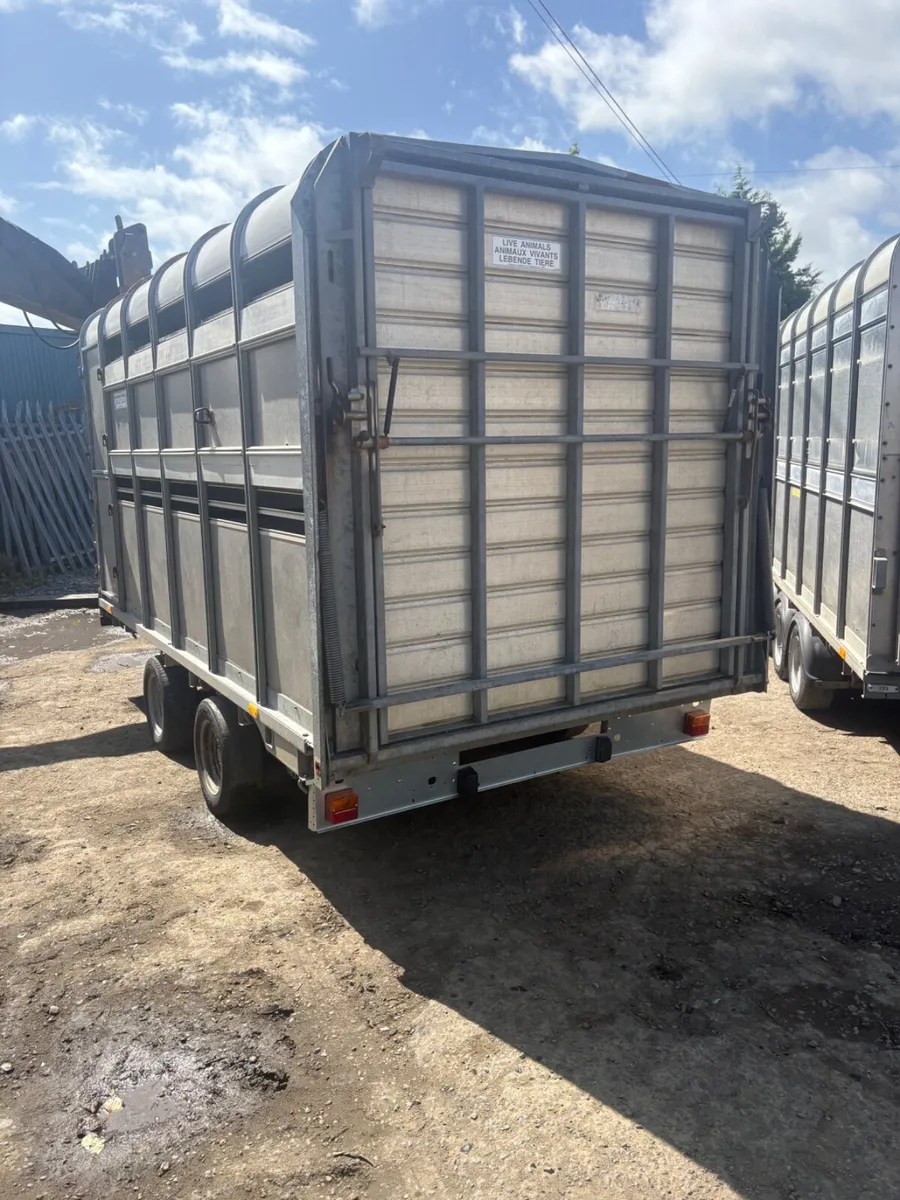 Ifor Williams 12ft dp120 cattle trailer - Image 2