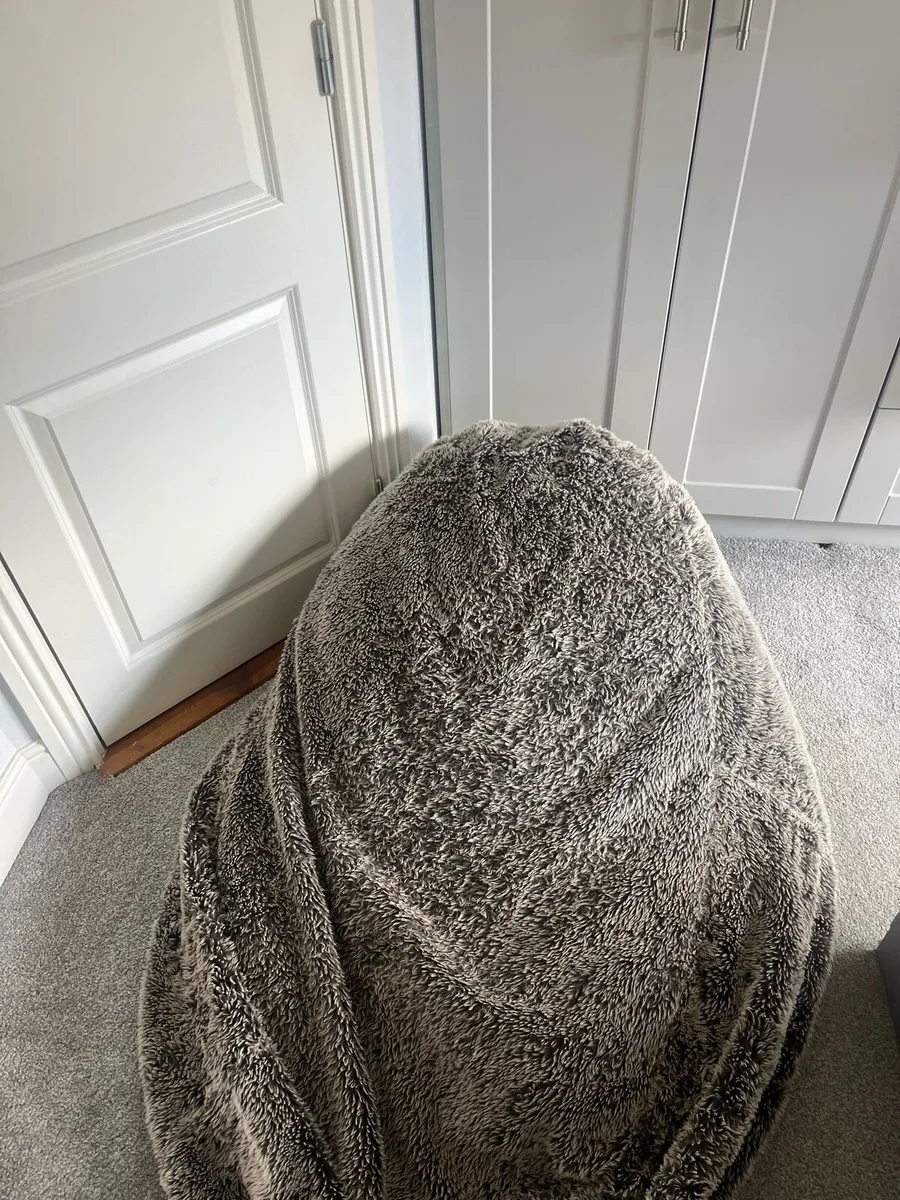 Furry Bean Bag - Image 1