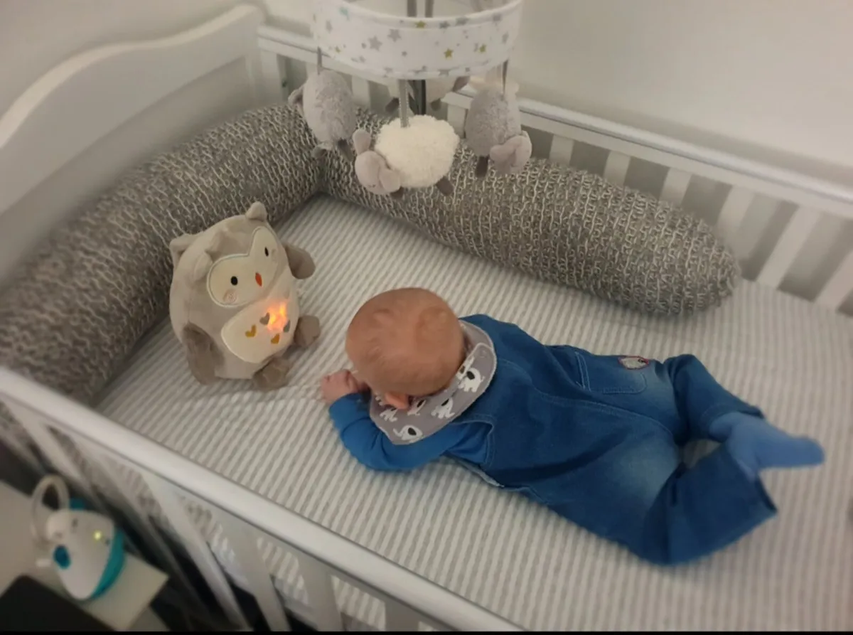 Wooden cot/toddler bed with mattress - Image 1