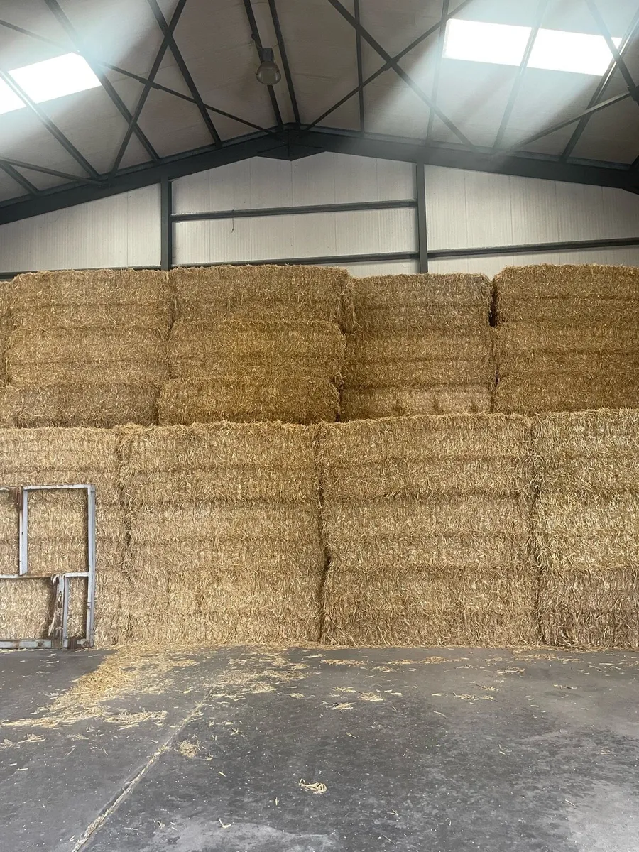 Barley straw - Image 1