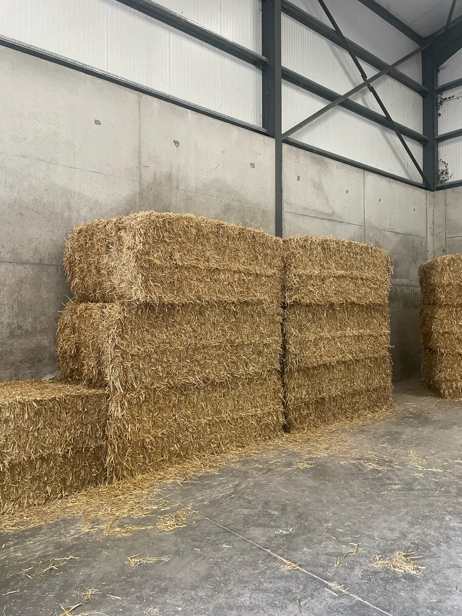 Barley straw - Image 2