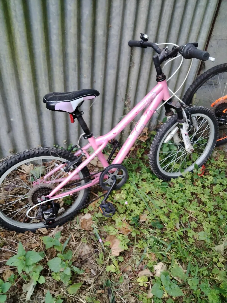 2 Kids bikes, girls 20 inch and boys 24 for sale - Image 2