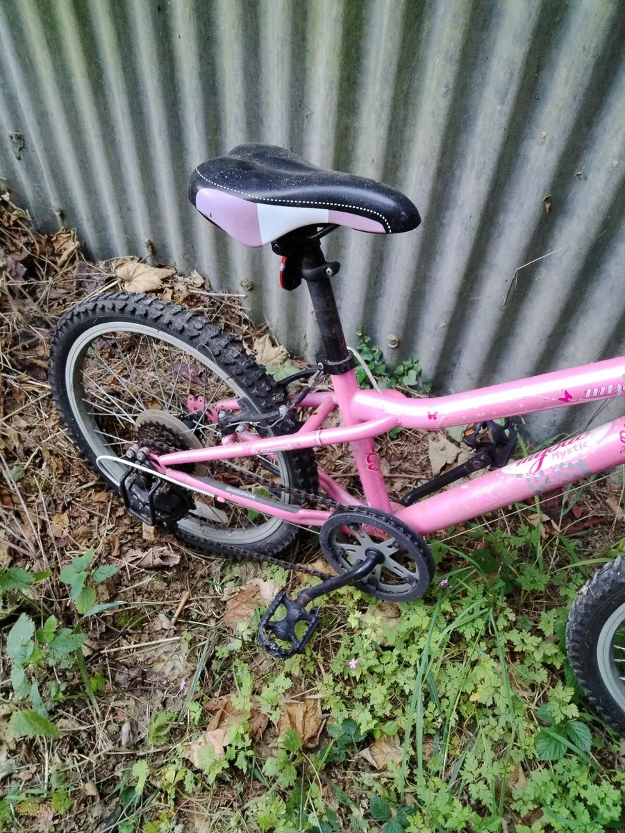 2 Kids bikes, girls 20 inch and boys 24 for sale - Image 3