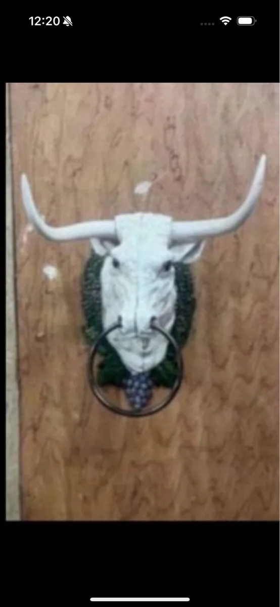Bull door knocker - Image 1