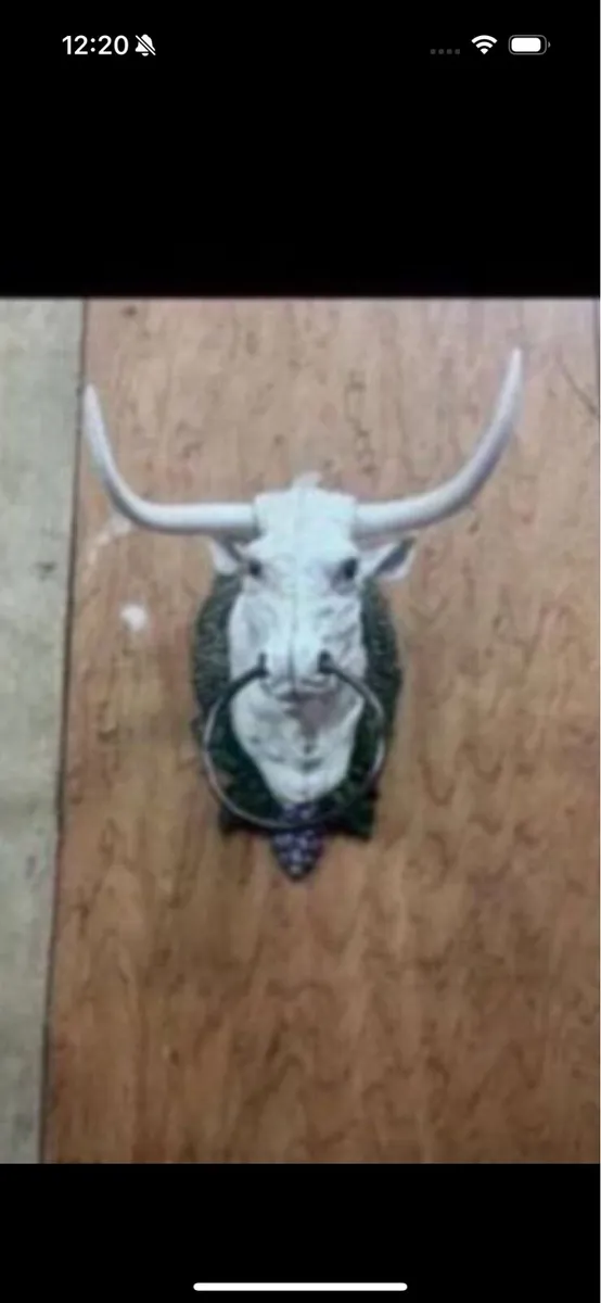 Bull door knocker - Image 3