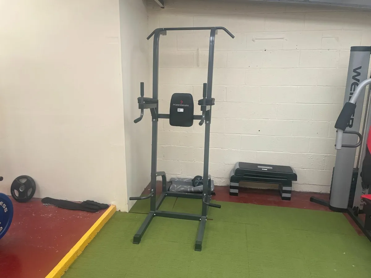 Online Auction Of A Pull Up Dip Station & More! - Image 1
