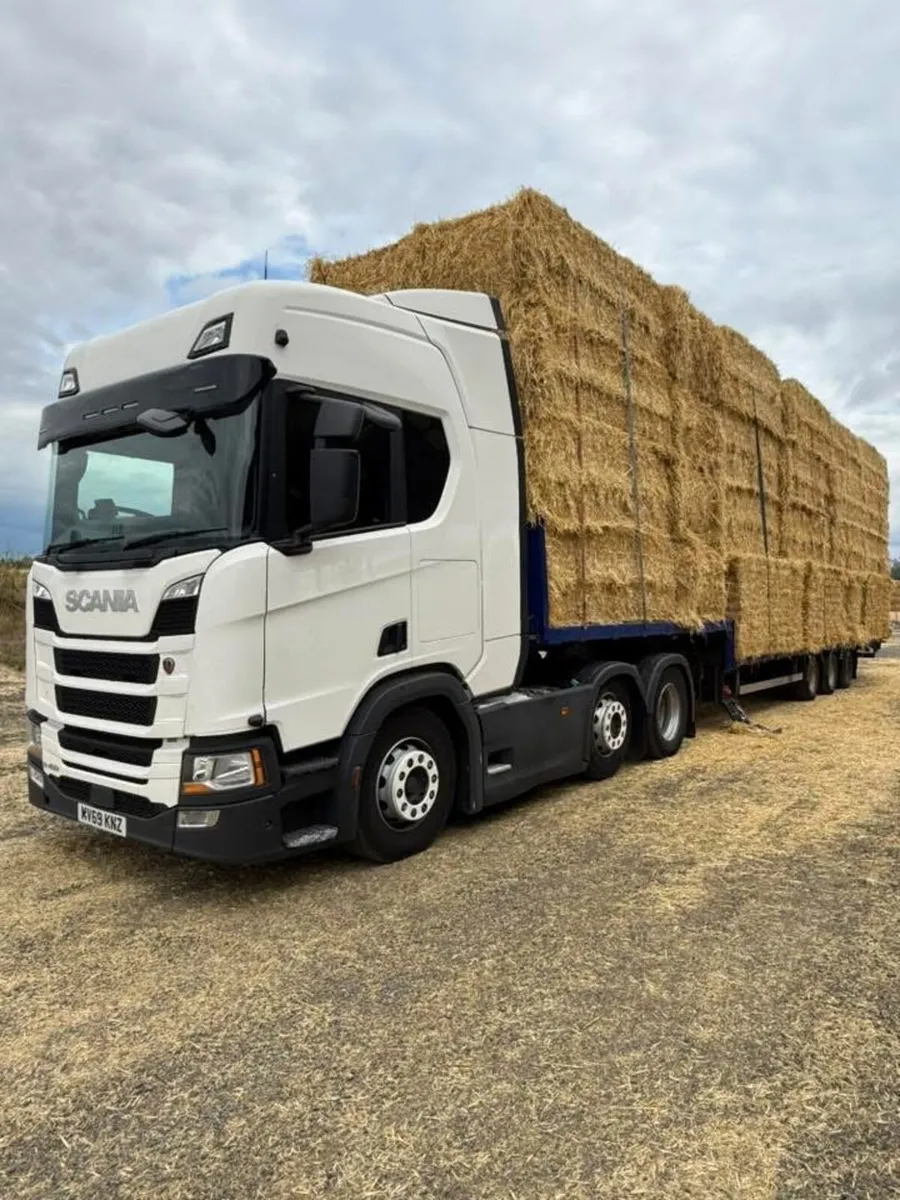 Pre chopped irish Barley straw available in 8x4x3s - Image 2