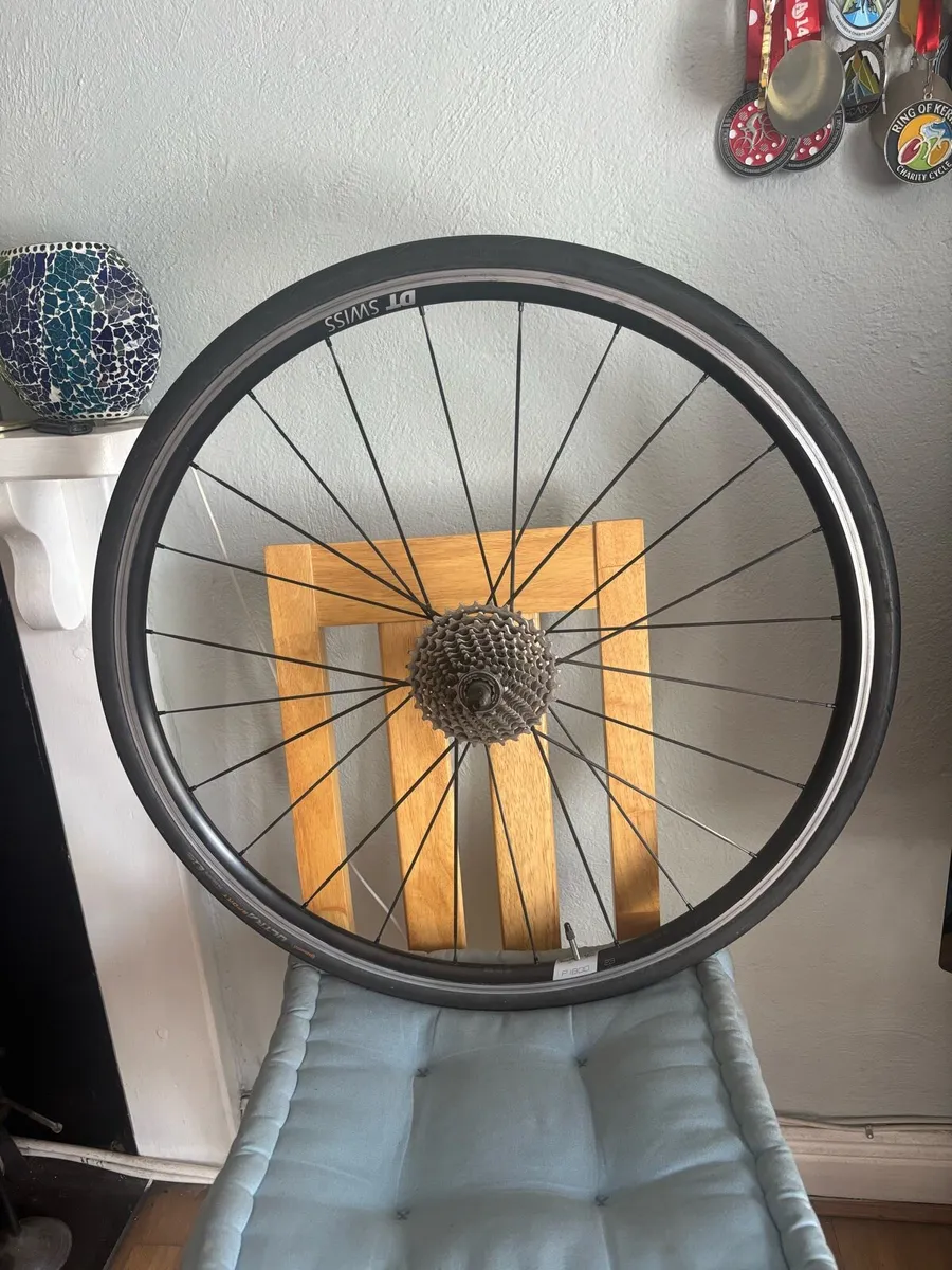 Road Rear Bicycle Wheel DT SWISS P1800 23