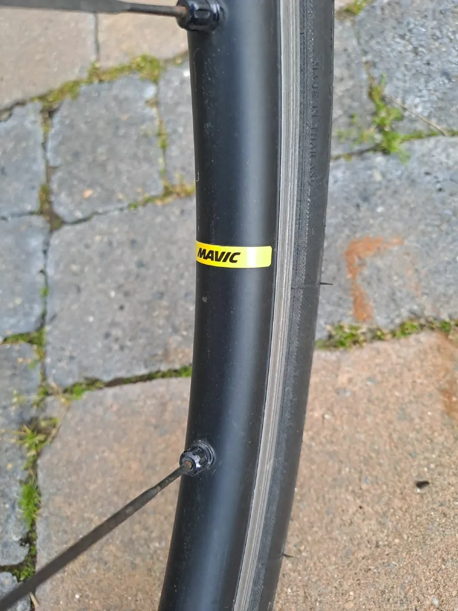 Bicycle - Image 4