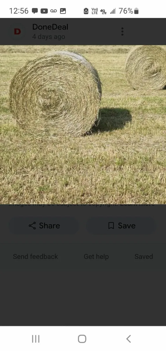 Organic Haylage - Image 1