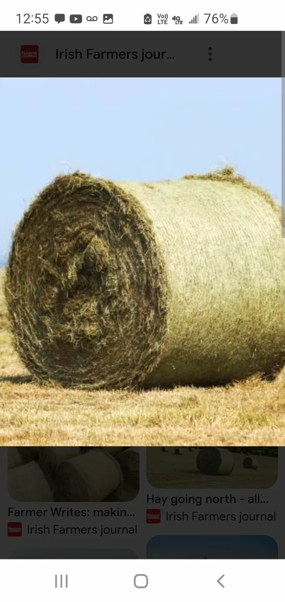 Organic Haylage - Image 3