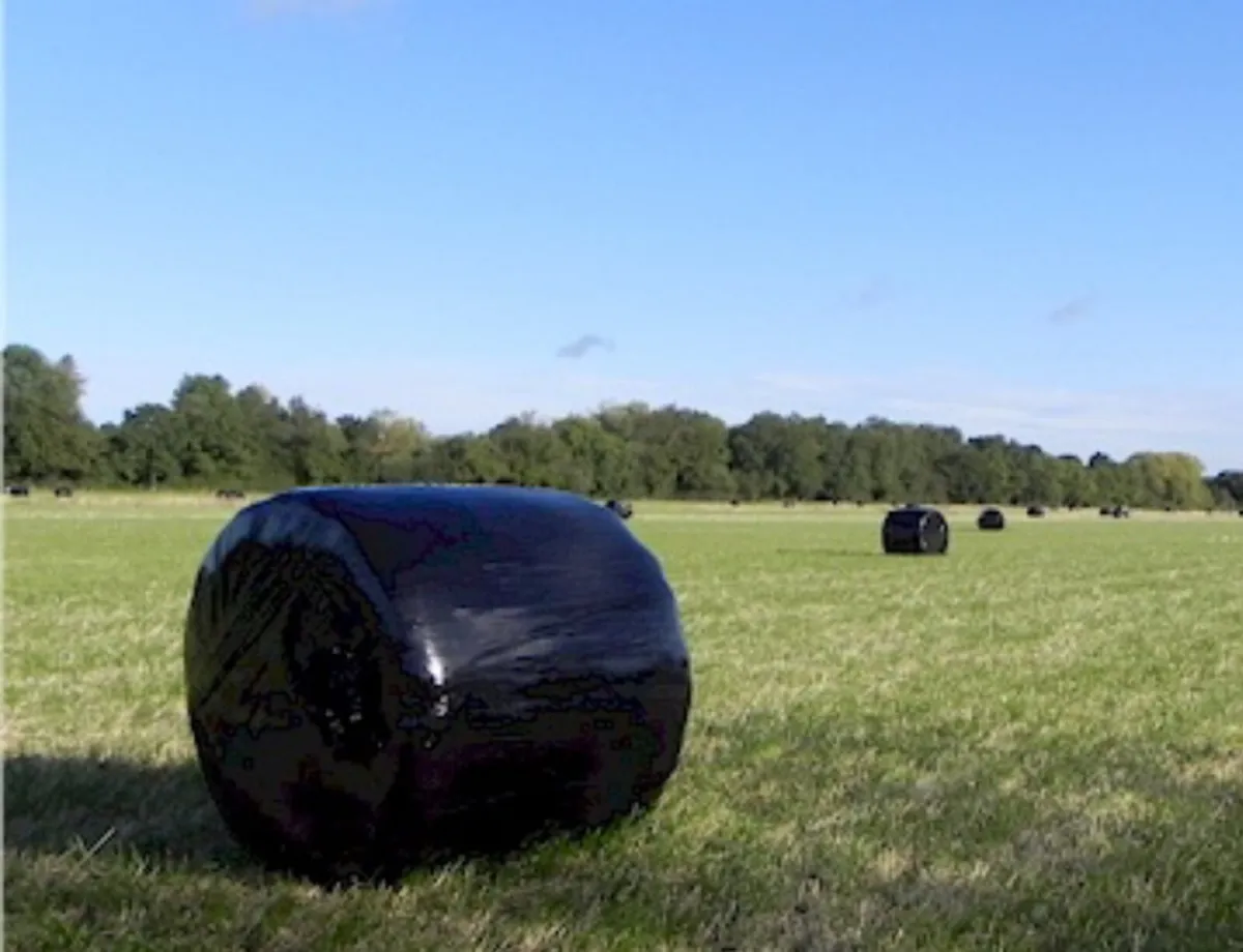 Bales of haylage
