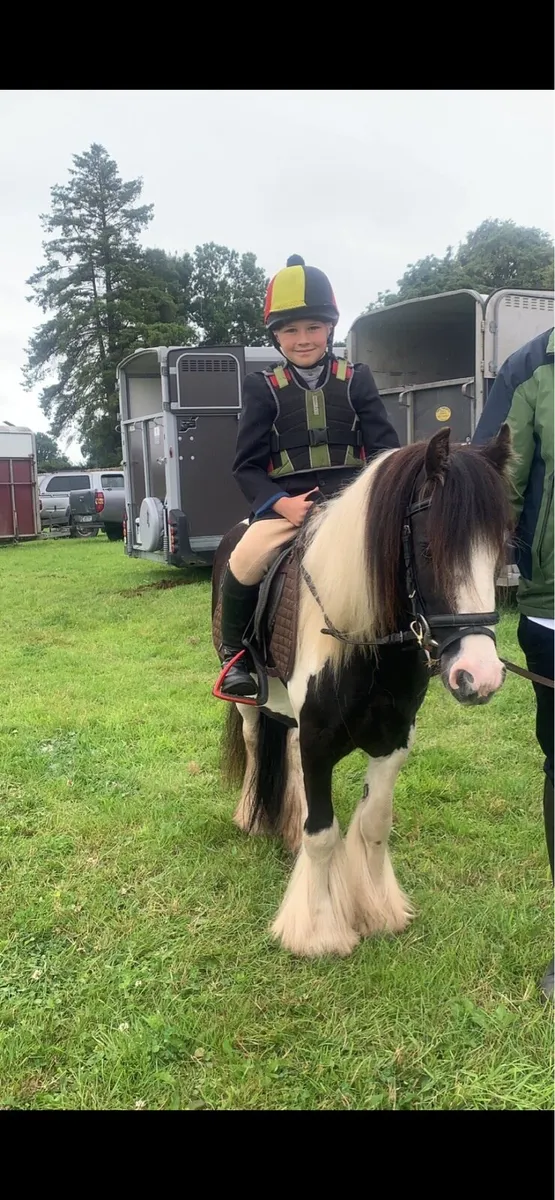 11.2 cob pony - Image 2