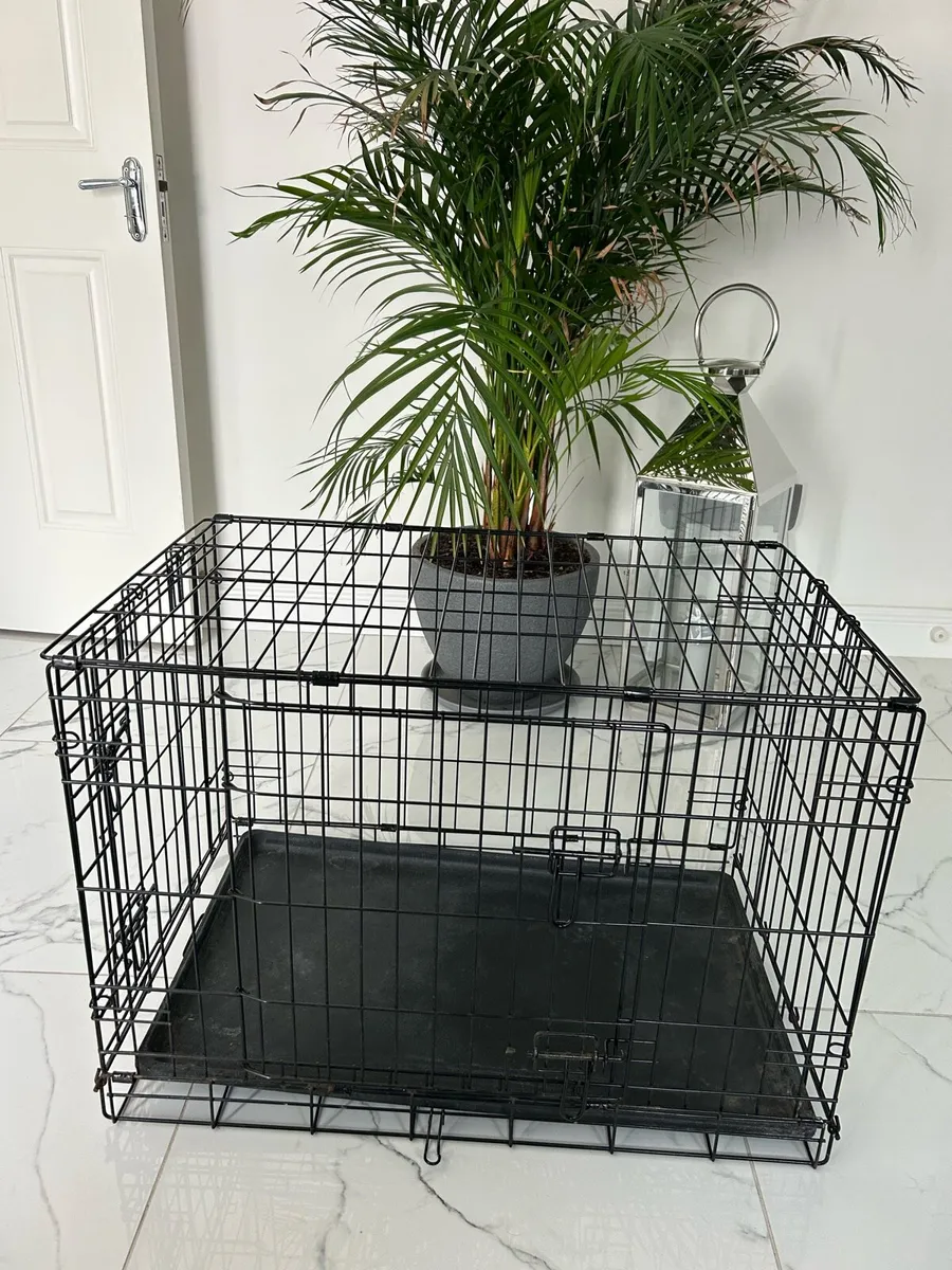 Dog kennel