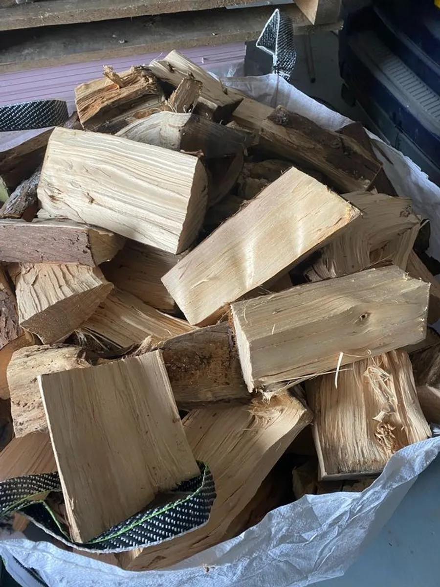 softwood firewood - Image 3