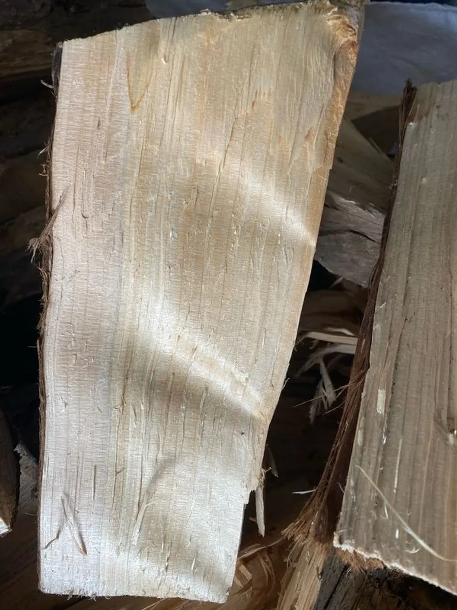softwood firewood - Image 4