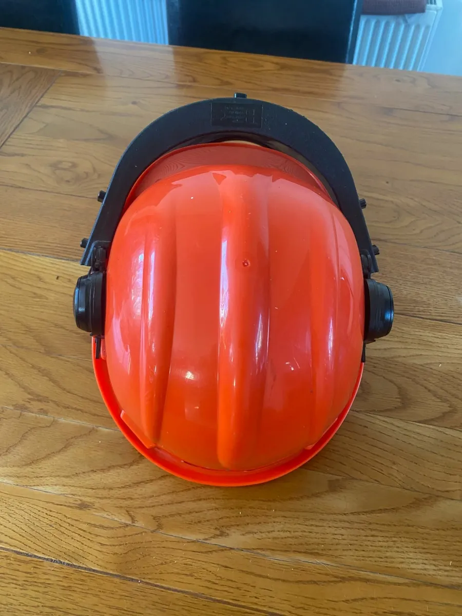 Safety Helmet with Protective Ear Muff and Mesh - Image 2