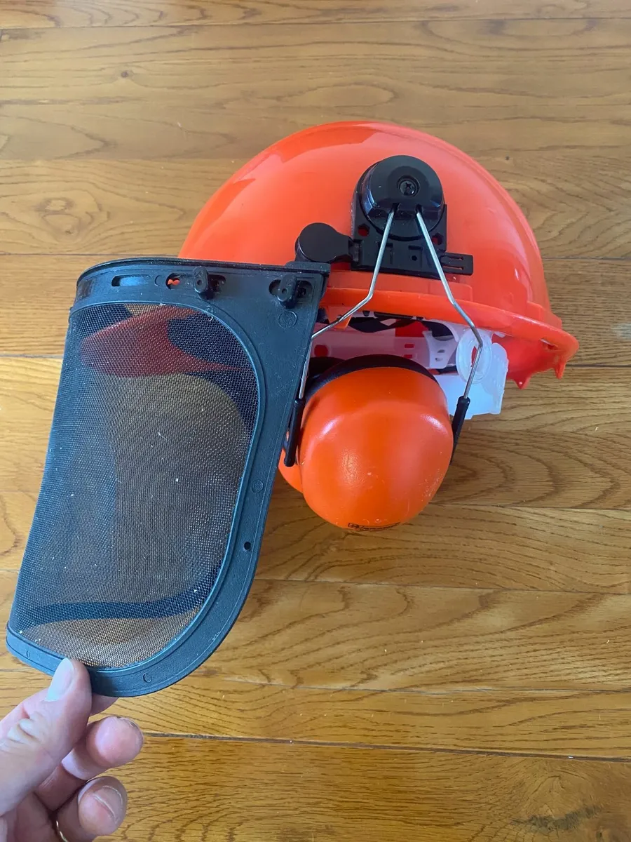 Safety Helmet with Protective Ear Muff and Mesh - Image 1
