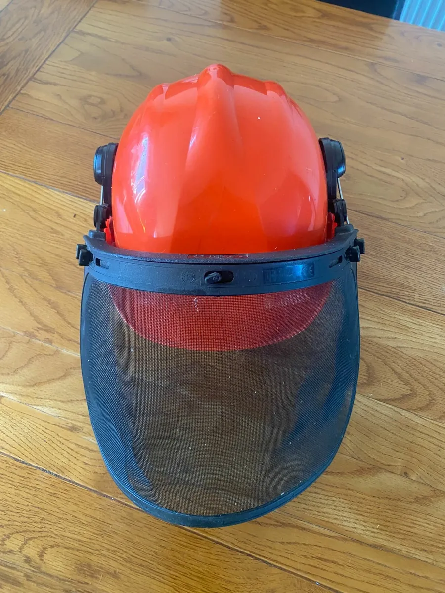 Safety Helmet with Protective Ear Muff and Mesh - Image 3