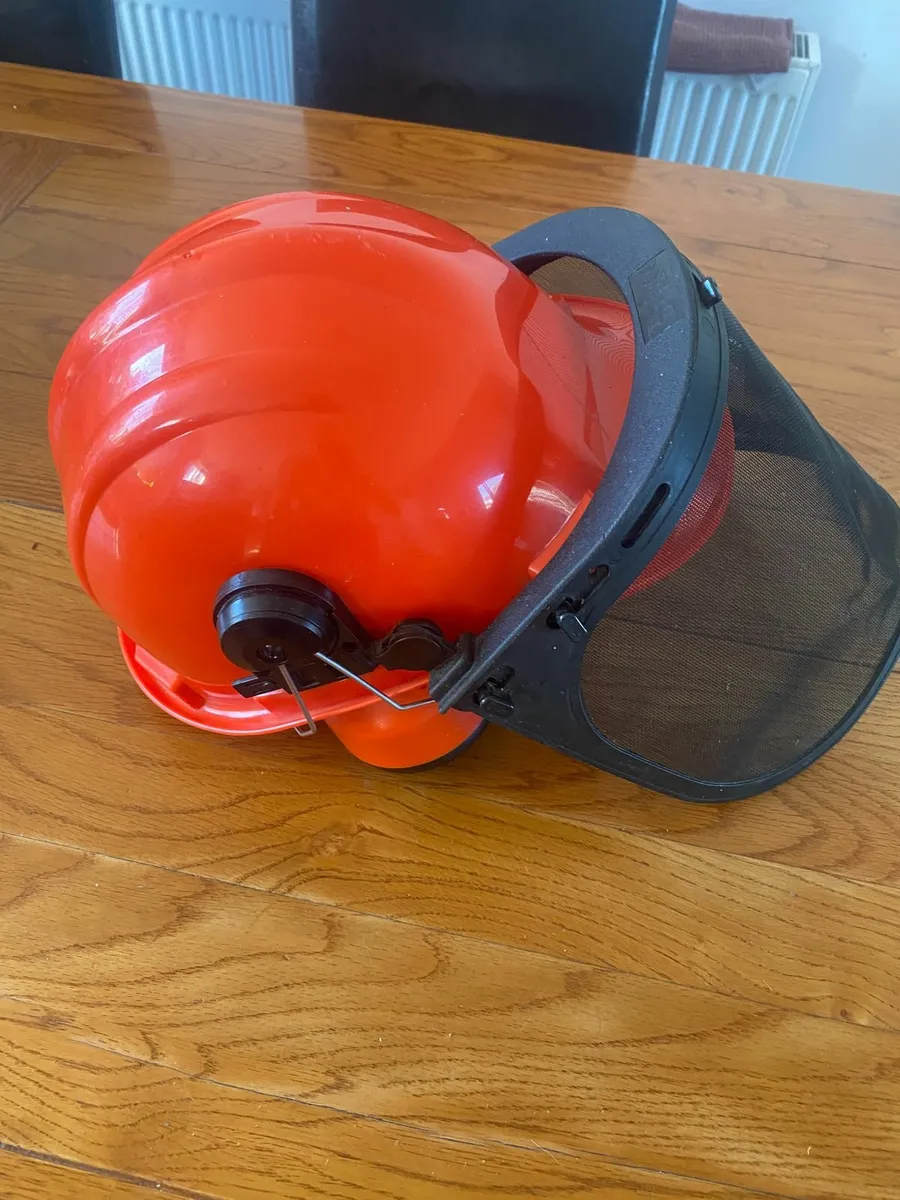 Safety Helmet with Protective Ear Muff and Mesh - Image 4