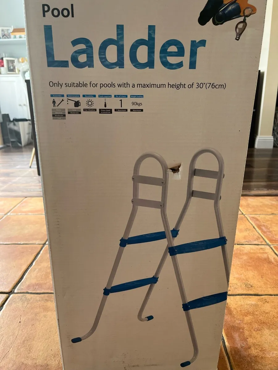 Pool ladder - Image 1