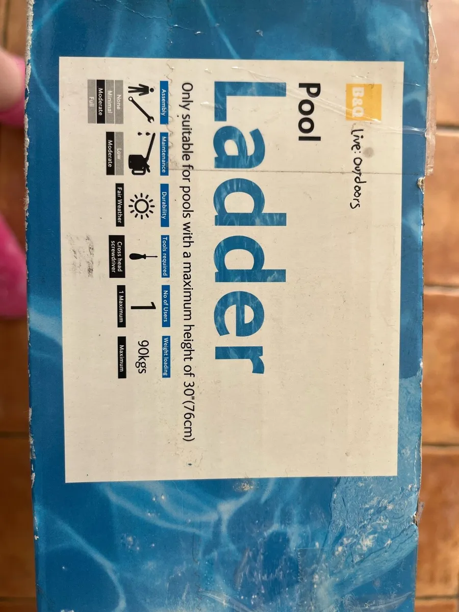 Pool ladder - Image 3