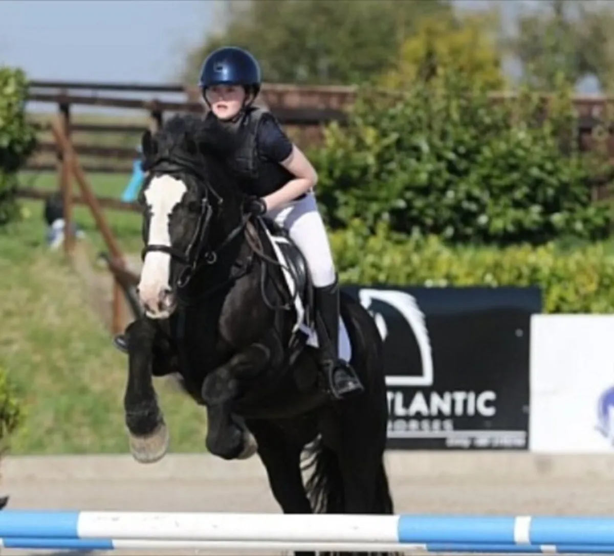13’2 Cob - Image 1