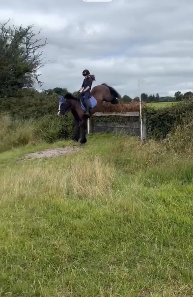 13’2 Cob - Image 2