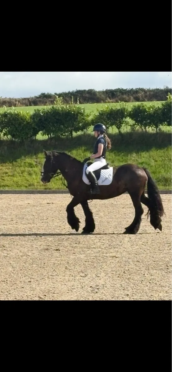 13’2 Cob - Image 3