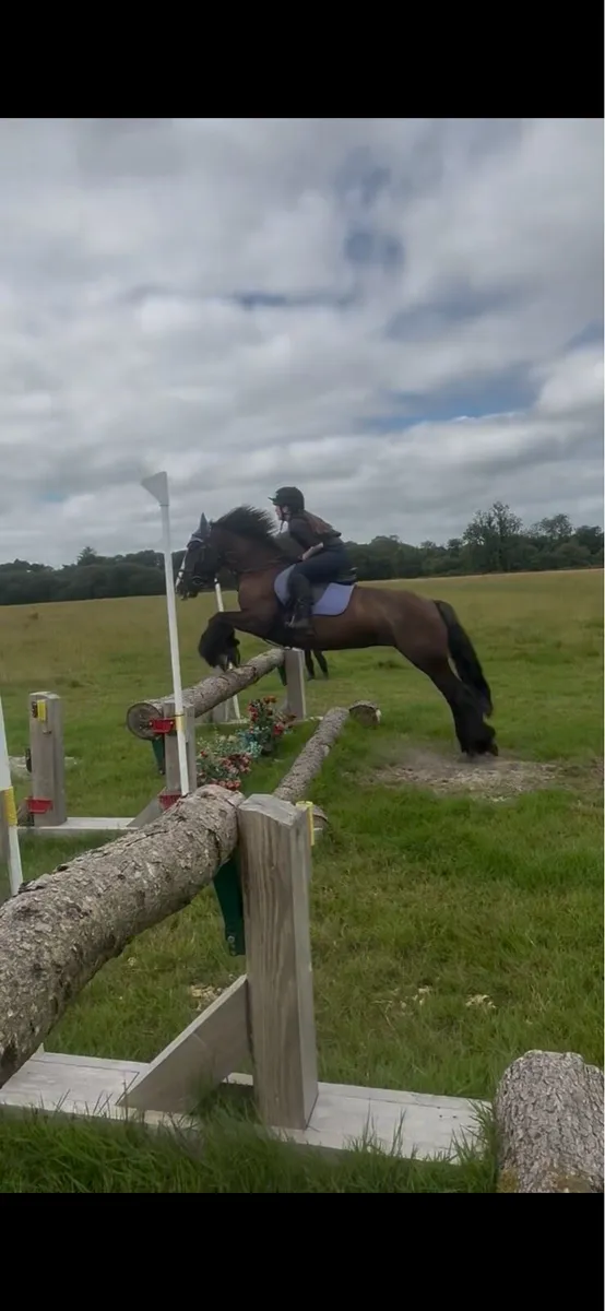 13’2 Cob - Image 4