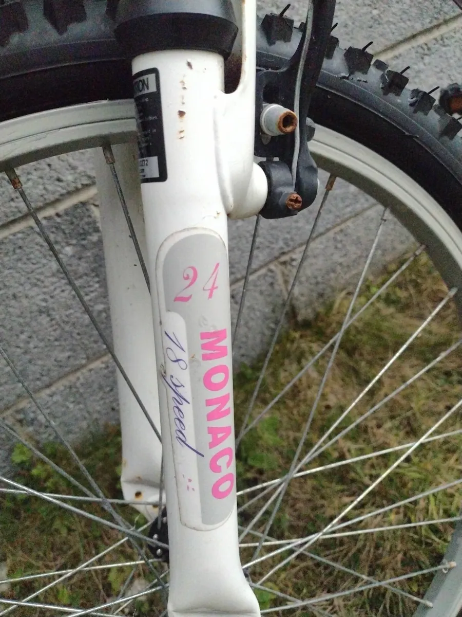 Monaco fantasy 24 mountain bike with front suspens - Image 3