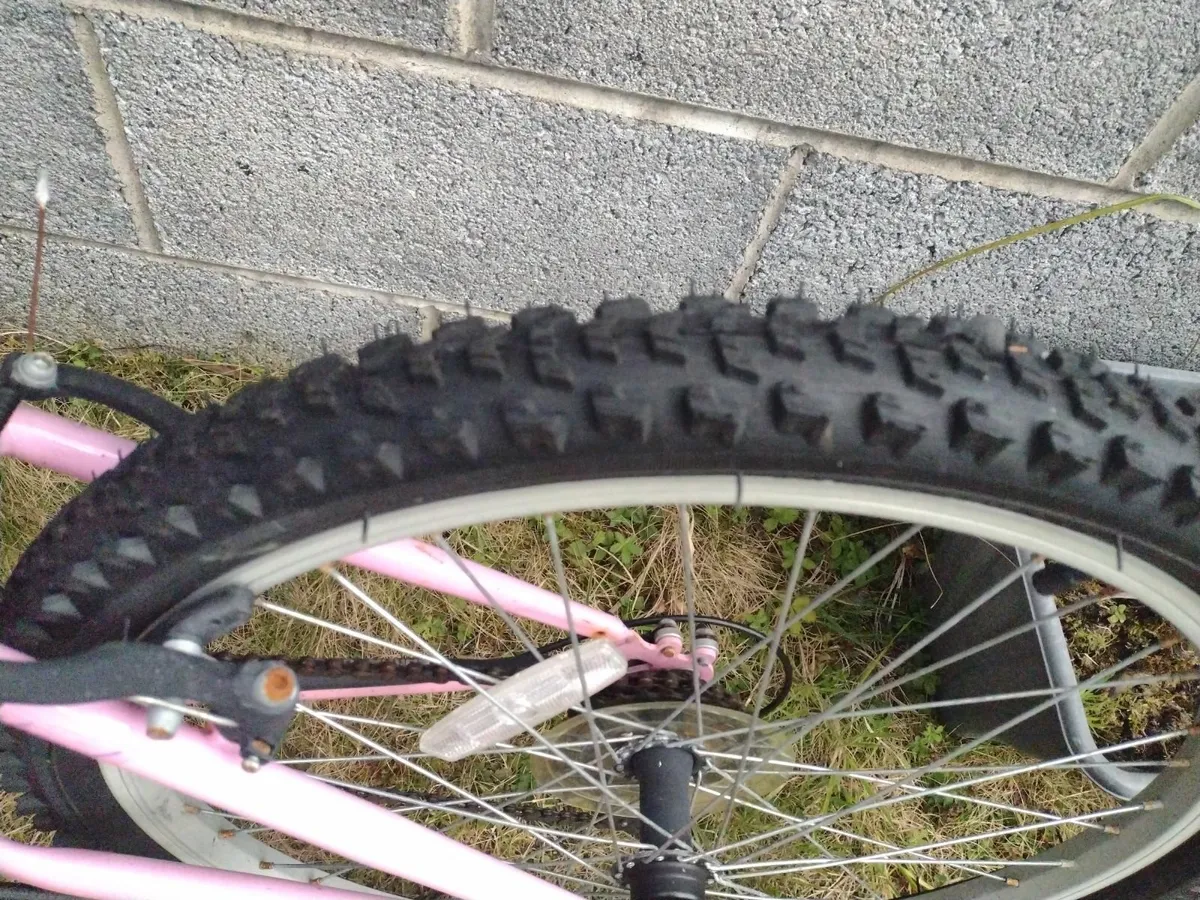 Monaco fantasy 24 mountain bike with front suspens - Image 4