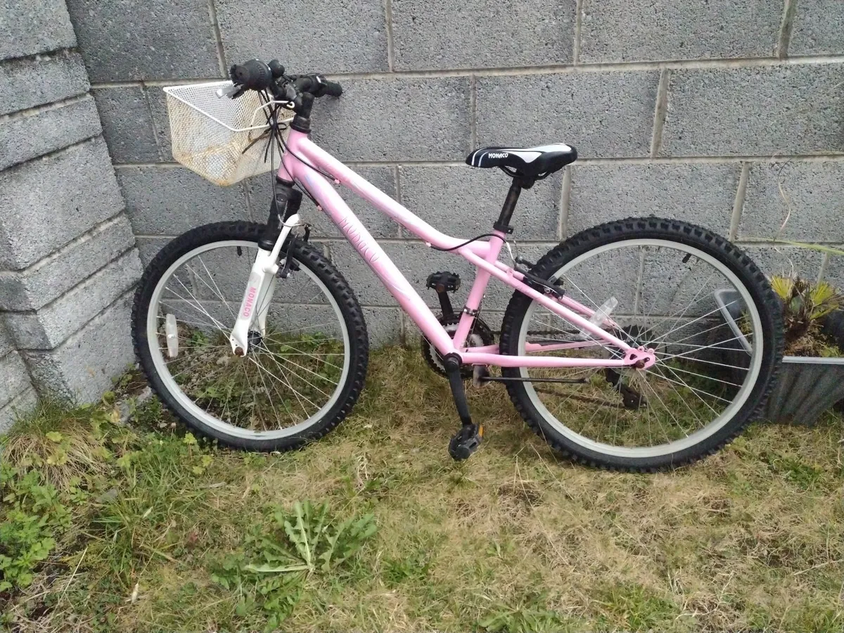 Monaco fantasy 24 mountain bike with front suspens - Image 1