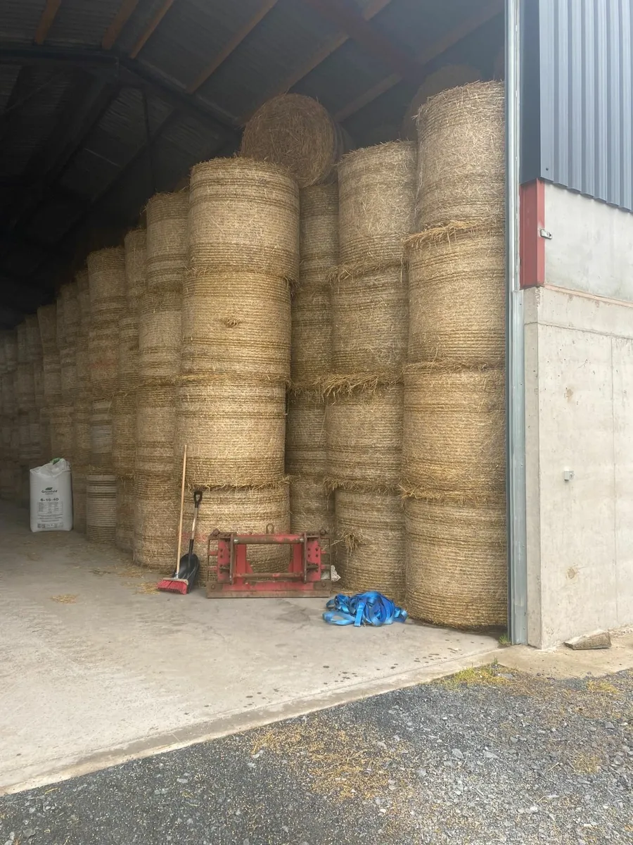 Straw - Image 1