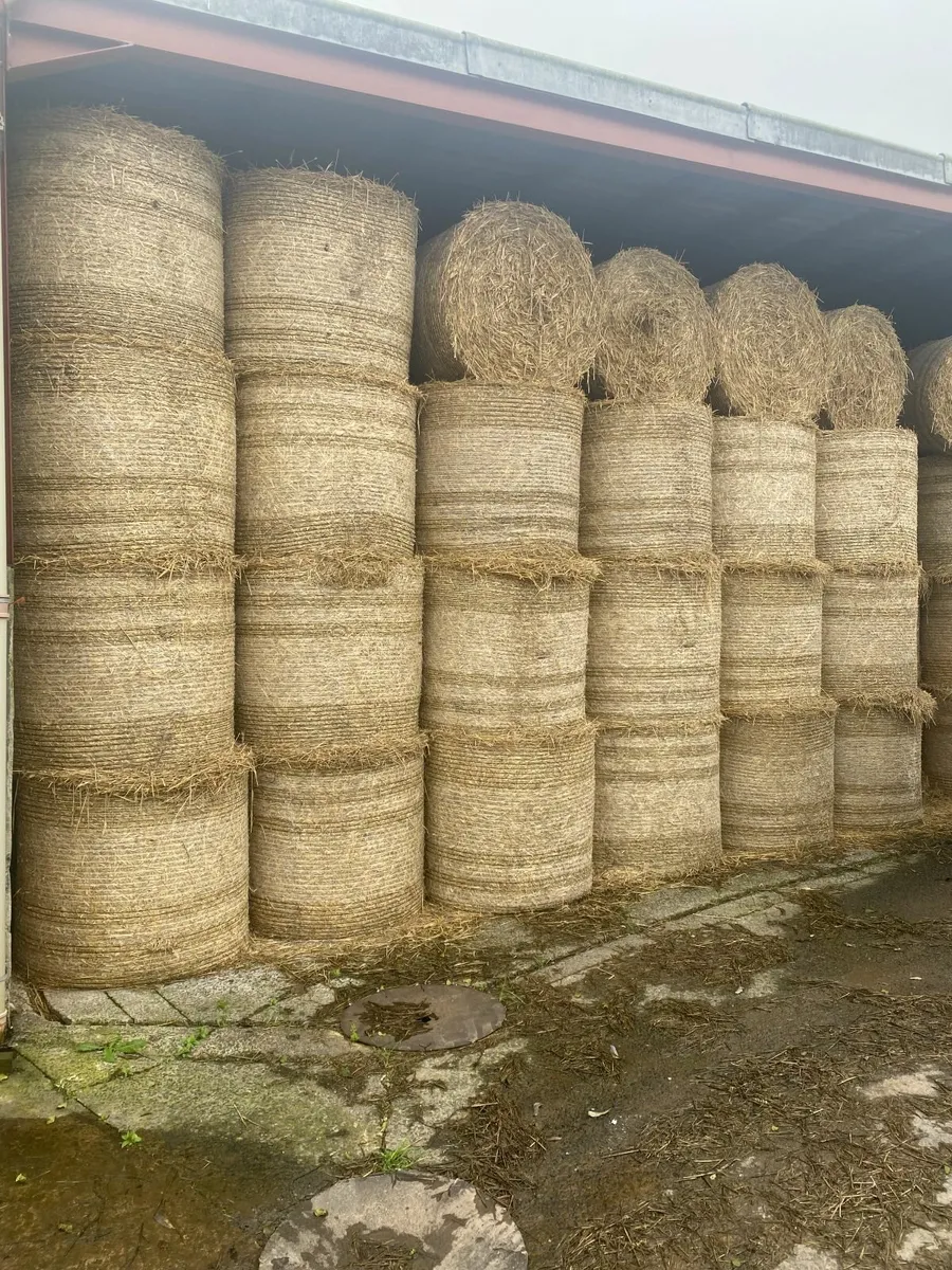 Straw - Image 3