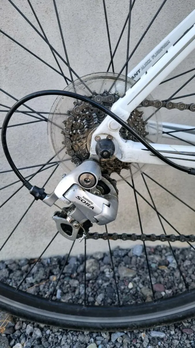 Giant Defy Road Bike - Image 2