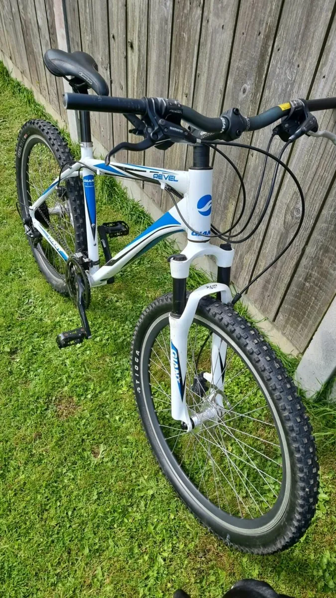 Giant mountain bike - Image 2