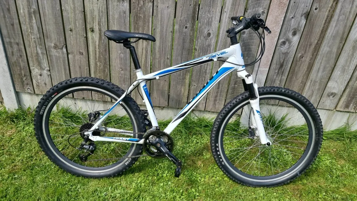Giant mountain bike - Image 1