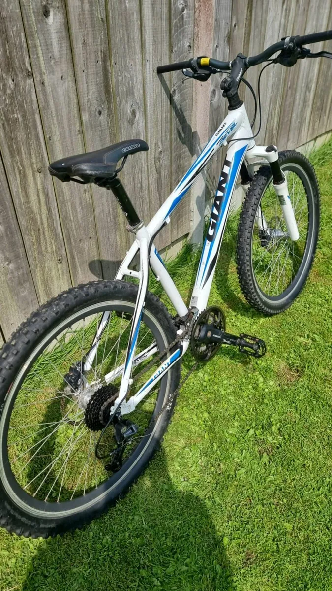 Giant mountain bike - Image 3